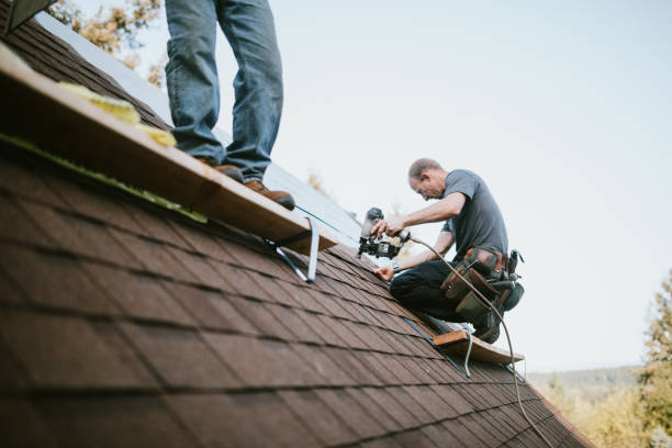 Best Metal Roofing Contractor  in Monticello, IA