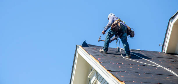 Best Roof Maintenance Services  in Monticello, IA